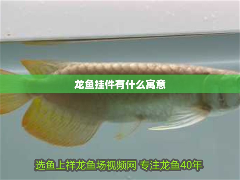 龍魚掛件有什么寓意