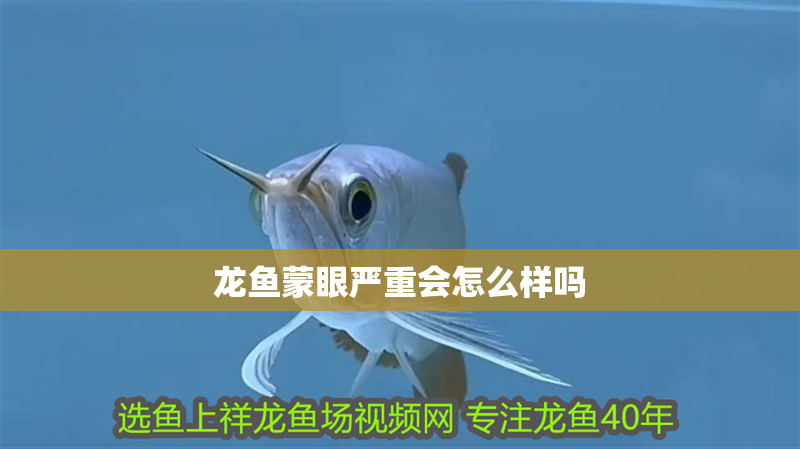 龍魚蒙眼嚴(yán)重會(huì)怎么樣嗎