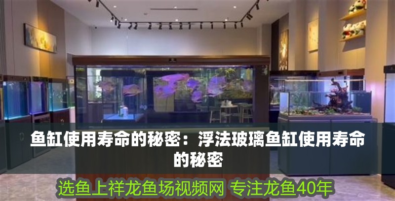 魚缸使用壽命的秘密：浮法玻璃魚缸使用壽命的秘密 魚缸使用壽命的秘密：浮法玻璃魚缸使用壽命的秘密 魚缸百科