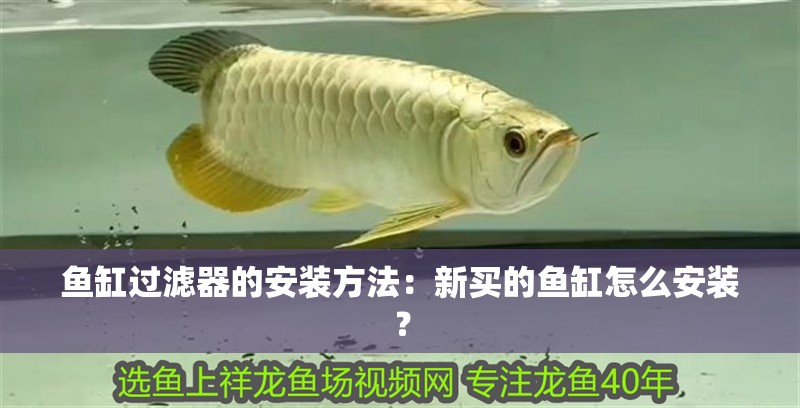 魚缸過濾器的安裝方法：新買的魚缸怎么安裝？