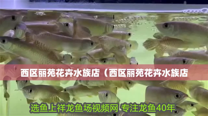 西區麗苑花卉水族店（西區麗苑花卉水族店