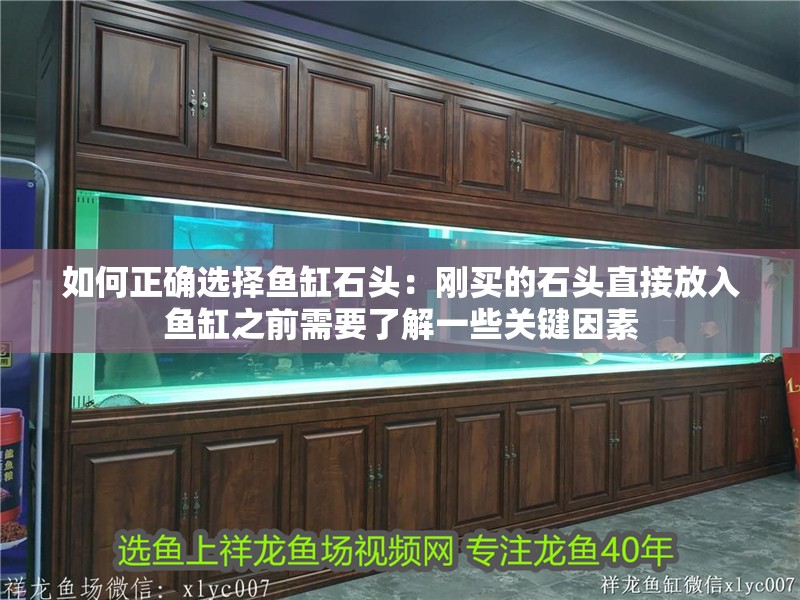 如何正確選擇魚缸石頭：剛買的石頭直接放入魚缸之前需要了解一些關鍵因素