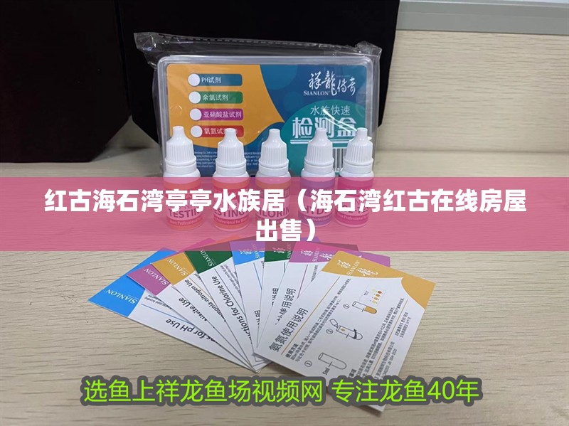 紅古海石灣亭亭水族居（海石灣紅古在線房屋出售）