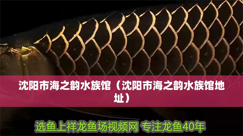 沈陽市海之韻水族館（沈陽市海之韻水族館地址） 沈陽市海之韻水族館（沈陽市海之韻水族館地址） 全國水族館企業名錄 第2張