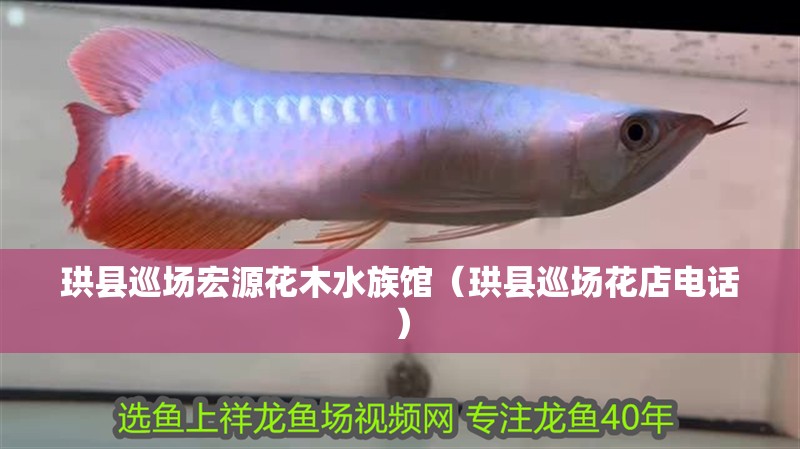 珙縣巡場宏源花木水族館（珙縣巡場花店電話）