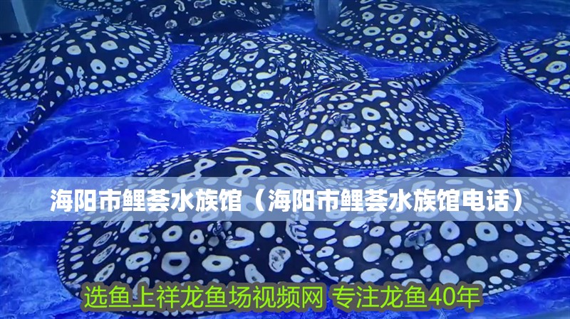 海陽市鯉薈水族館（海陽市鯉薈水族館電話）