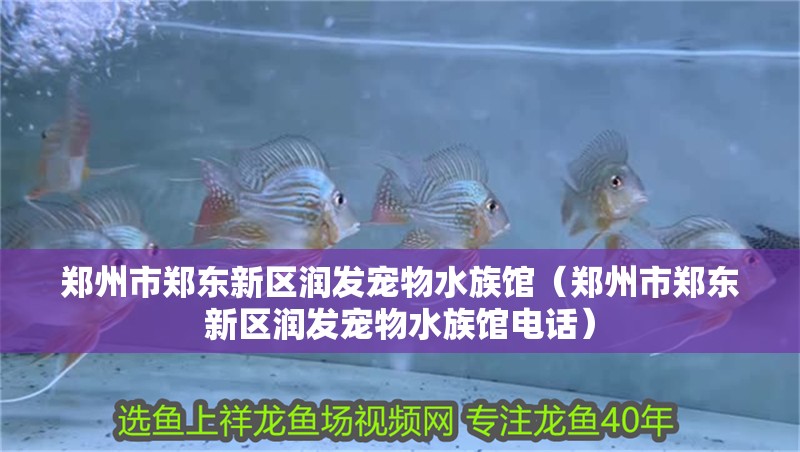 鄭州市鄭東新區潤發寵物水族館（鄭州市鄭東新區潤發寵物水族館電話）