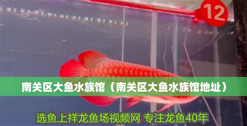 南關區大魚水族館（南關區大魚水族館地址）