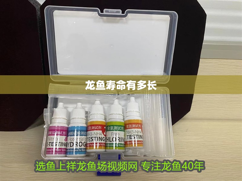 龍魚壽命有多長