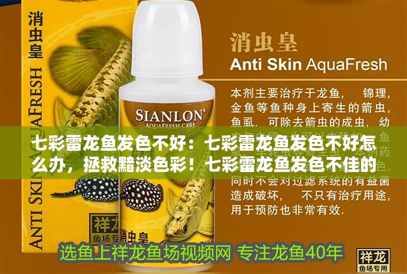 七彩雷龍魚發色不好：七彩雷龍魚發色不好怎么辦，拯救黯淡色彩！七彩雷龍魚發色不佳的應對
