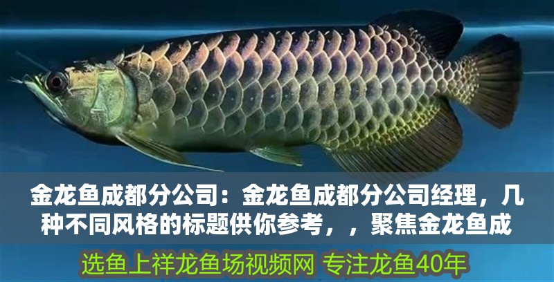 金龍魚成都分公司：金龍魚成都分公司經(jīng)理，幾種不同風(fēng)格的標(biāo)題供你參考，，聚焦金龍魚成都分公司及經(jīng)理風(fēng)采，探秘金龍魚成都分公司，經(jīng)理領(lǐng)航之路，走進(jìn)金龍魚成都分公司，看經(jīng)理