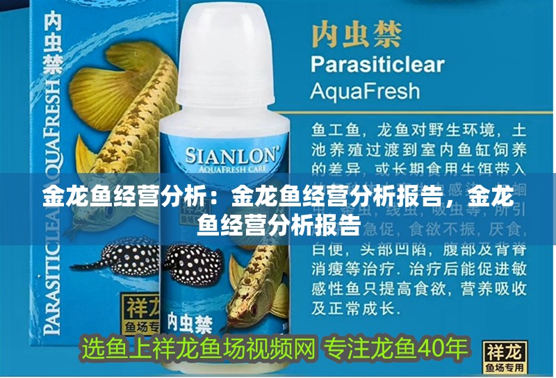 金龍魚經(jīng)營(yíng)分析：金龍魚經(jīng)營(yíng)分析報(bào)告，金龍魚經(jīng)營(yíng)分析報(bào)告