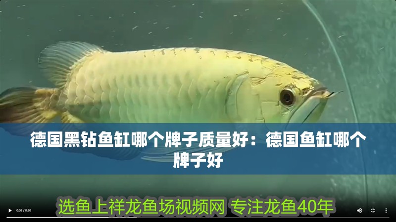德國黑鉆魚缸哪個牌子質量好：德國魚缸哪個牌子好
