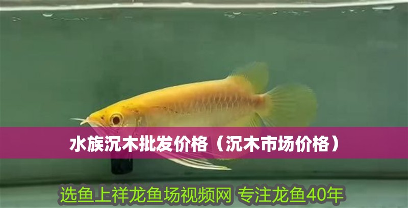 水族沉木批發價格（沉木市場價格） 水族沉木批發價格（沉木市場價格） 龍魚百科