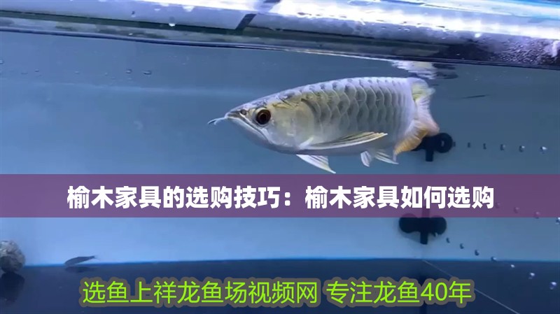 榆木家具的選購技巧：榆木家具如何選購