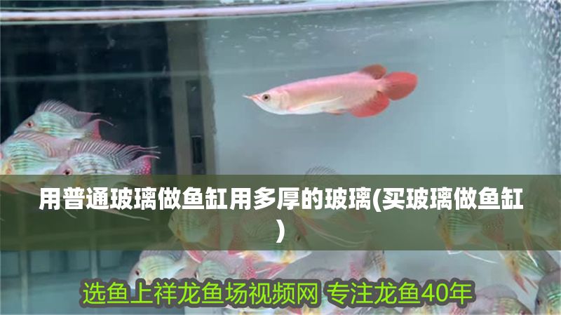 用普通玻璃做魚缸用多厚的玻璃(買玻璃做魚缸)