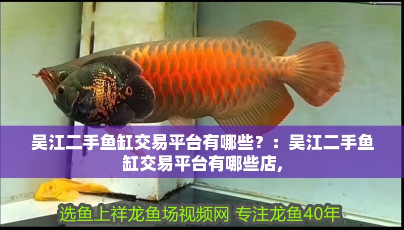 吳江二手魚(yú)缸交易平臺(tái)有哪些？：吳江二手魚(yú)缸交易平臺(tái)有哪些店,