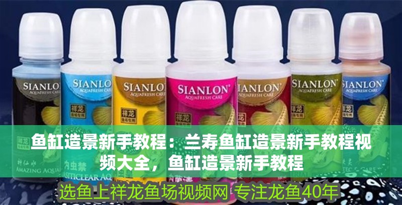 魚缸造景新手教程：蘭壽魚缸造景新手教程視頻大全，魚缸造景新手教程 魚缸造景新手教程：蘭壽魚缸造景新手教程視頻大全，魚缸造景新手教程 魚缸百科