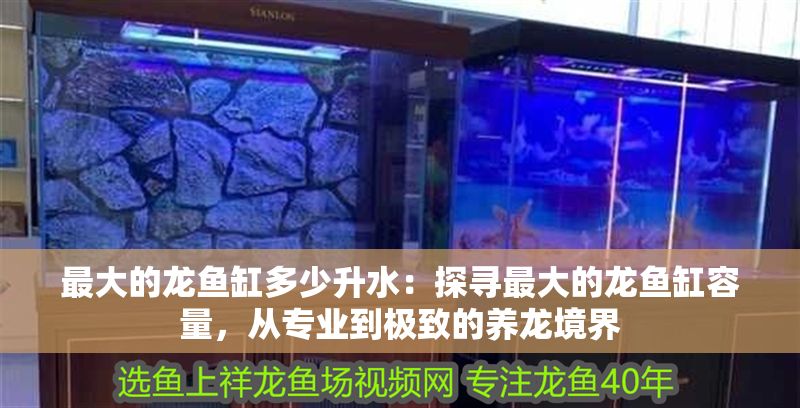 最大的龍魚缸多少升水：探尋最大的龍魚缸容量，從專業到極致的養龍境界