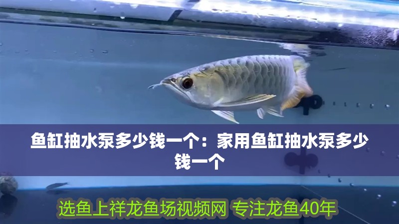 魚缸抽水泵多少錢一個：家用魚缸抽水泵多少錢一個