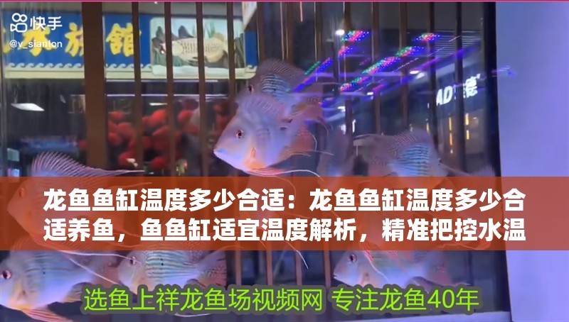 龍魚魚缸溫度多少合適：龍魚魚缸溫度多少合適養魚，魚魚缸適宜溫度解析，精準把控水溫