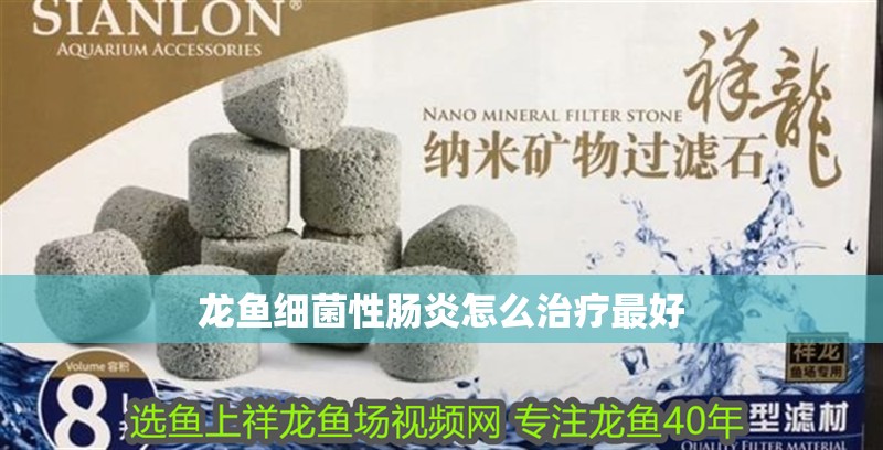 龍魚細菌性腸炎怎么治療最好 龍魚細菌性腸炎怎么治療最好 龍魚百科