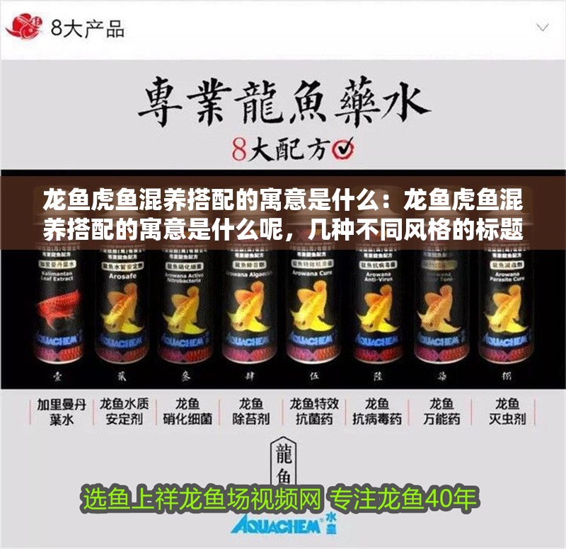 龍魚虎魚混養搭配的寓意是什么:龍魚虎魚混養搭配的寓意是什么呢,幾種不同風格的標題供你參考,,文藝風,龍魚與虎魚混養,探尋背后深邃寓意,直白實用風,深度解析,龍魚虎魚混養搭配的寓意所在,懸念好奇風,揭秘!龍魚虎魚混養搭配竟有這般寓意 水族問答 龍魚虎魚混養搭配的寓意是什么:龍魚虎魚混養搭配的寓意是什么呢,幾種不同風格的標題供你參考,,文藝風,龍魚與虎魚混養,探尋背后深邃寓意,直白實用風,深度解析,龍魚虎魚混養搭配的寓意所在,懸念好奇風,揭秘!龍魚虎魚混養搭配竟有這般寓意 龍魚虎魚混養搭配的寓意是什么:龍魚虎魚混養搭配的寓意是什么呢,幾種不同風格的標題供你參考,,文藝風,龍魚與虎魚混養,探尋背后深邃寓意,直白實用風,深度解析,龍魚虎魚混養搭配的寓意所在,懸念好奇風,揭秘!龍魚虎魚混養搭配竟有這般寓意 水族問答