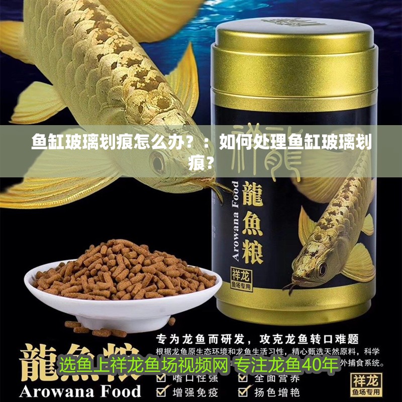 魚缸玻璃劃痕怎么辦？：如何處理魚缸玻璃劃痕？