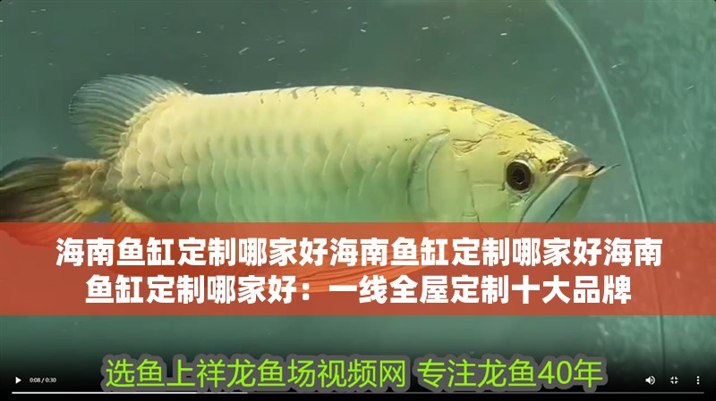 海南魚缸定制哪家好海南魚缸定制哪家好海南魚缸定制哪家好：一線全屋定制十大品牌