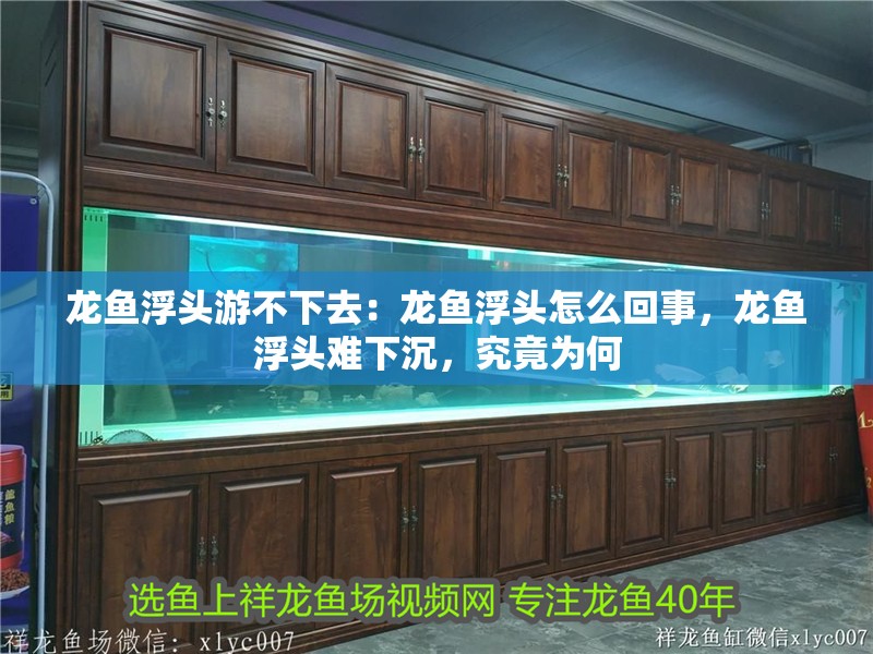 龍魚浮頭游不下去：龍魚浮頭怎么回事，龍魚浮頭難下沉，究竟為何
