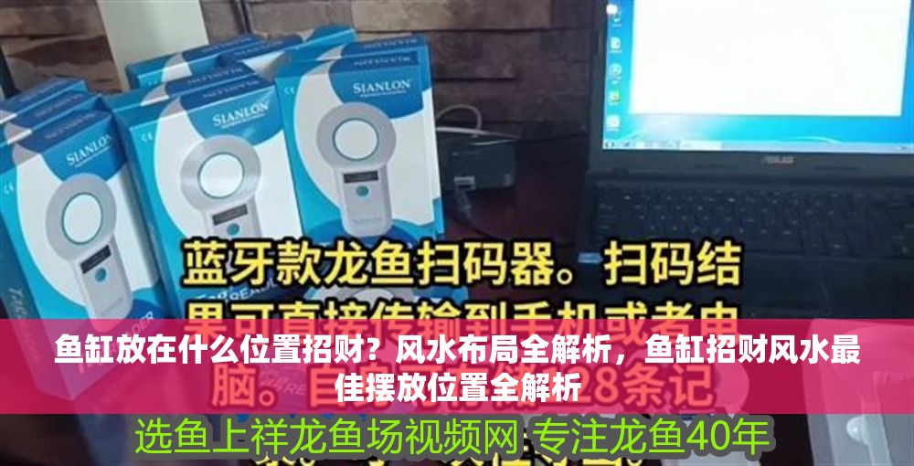 魚缸放在什么位置招財？風水布局全解析，魚缸招財風水最佳擺放位置全解析 魚缸放在什么位置招財？風水布局全解析，魚缸招財風水最佳擺放位置全解析 龍魚百科 第1張