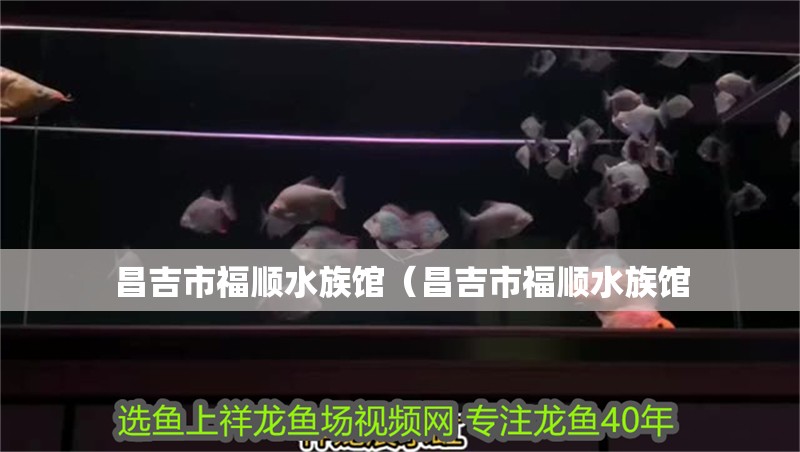 昌吉市福順水族館（昌吉市福順水族館 昌吉市福順水族館（昌吉市福順水族館 全國水族館企業名錄 第2張