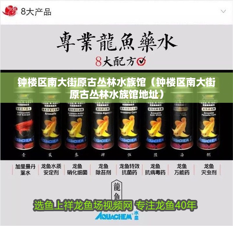 鐘樓區南大街原古叢林水族館（鐘樓區南大街原古叢林水族館地址）