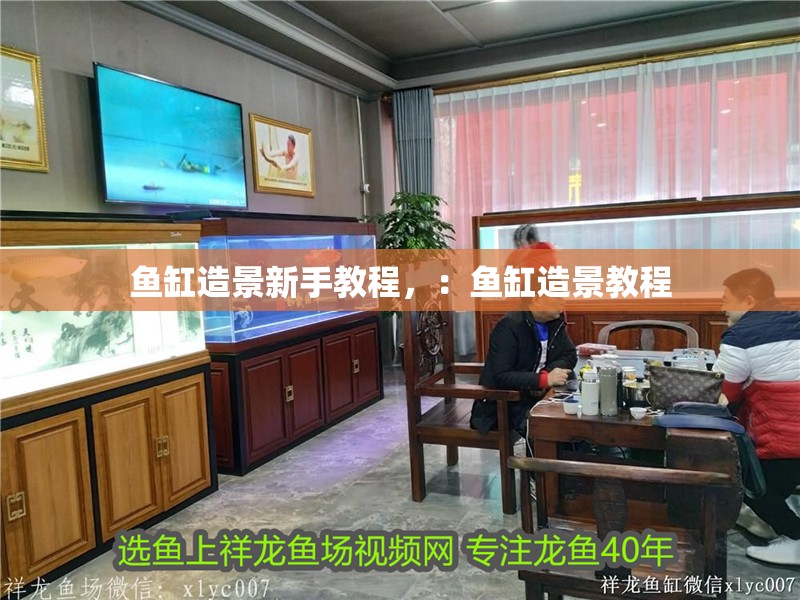 魚缸造景新手教程，：魚缸造景教程
