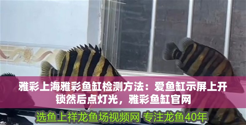 雅彩上海雅彩魚缸檢測方法：愛魚缸示屏上開鎖然后點燈光，雅彩魚缸官網