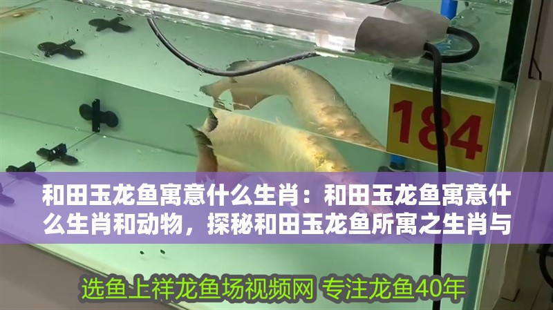 和田玉龍魚寓意什么生肖：和田玉龍魚寓意什么生肖和動物，探秘和田玉龍魚所寓之生肖與動物象征