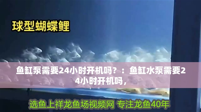 魚缸泵需要24小時開機嗎？：魚缸水泵需要24小時開機嗎，