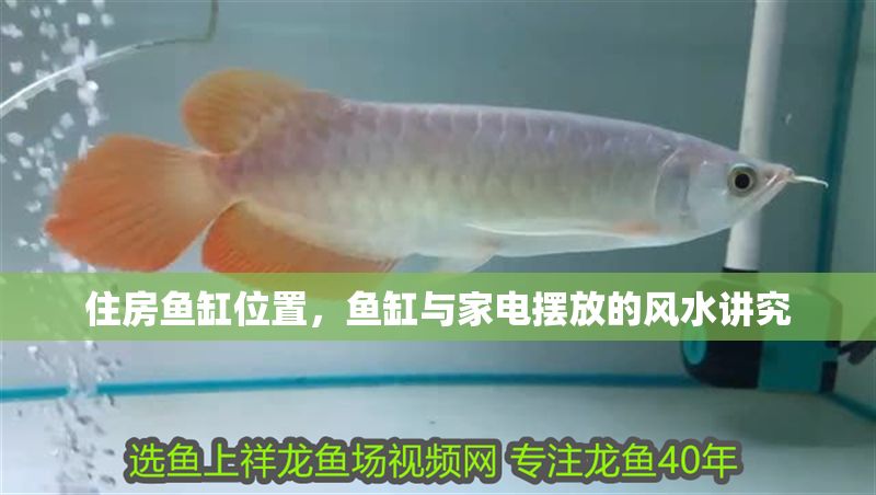 住房魚缸位置，魚缸與家電擺放的風水講究