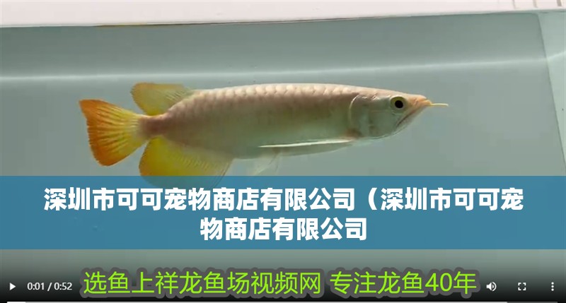 深圳市可可寵物商店有限公司（深圳市可可寵物商店有限公司 深圳市可可寵物商店有限公司（深圳市可可寵物商店有限公司 全國水族館企業(yè)名錄 第2張