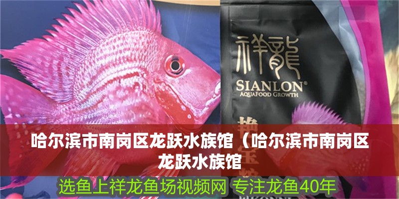 哈爾濱市南崗區龍躍水族館(哈爾濱市南崗區龍躍水族館 全國水族館企業名錄 第2張 哈爾濱市南崗區龍躍水族館(哈爾濱市南崗區龍躍水族館 哈爾濱市南崗區龍躍水族館(哈爾濱市南崗區龍躍水族館 全國水族館企業名錄 第2張