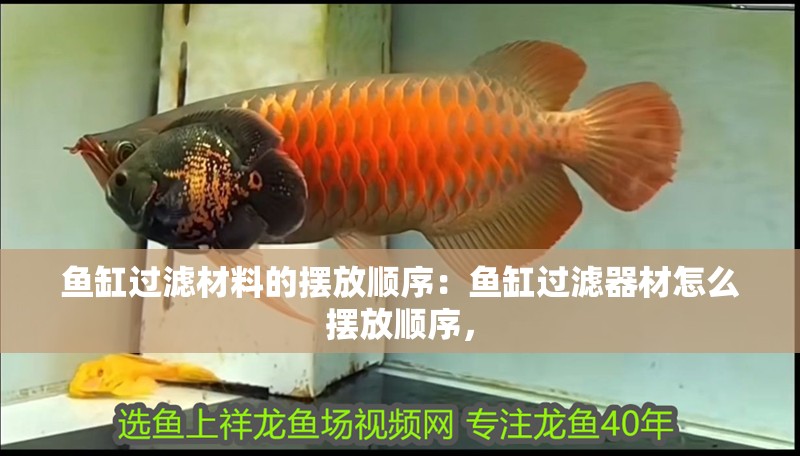 魚缸過濾材料的擺放順序：魚缸過濾器材怎么擺放順序， 魚缸過濾材料的擺放順序：魚缸過濾器材怎么擺放順序， 魚缸百科