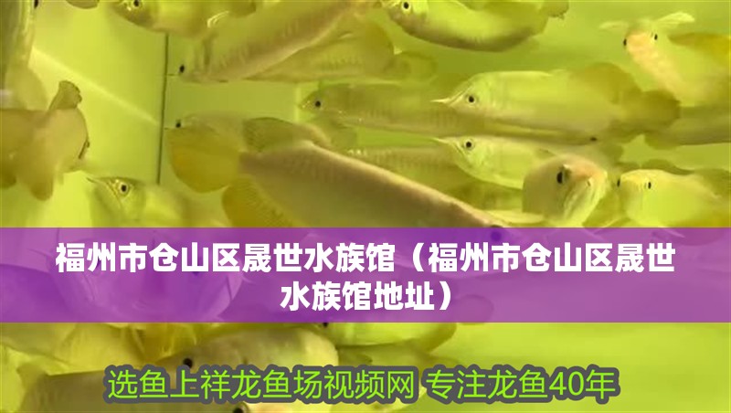 福州市倉山區晟世水族館（福州市倉山區晟世水族館地址）