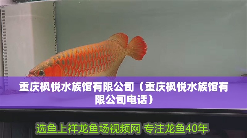 重慶楓悅水族館有限公司（重慶楓悅水族館有限公司電話） 重慶楓悅水族館有限公司（重慶楓悅水族館有限公司電話） 全國水族館企業(yè)名錄 第2張