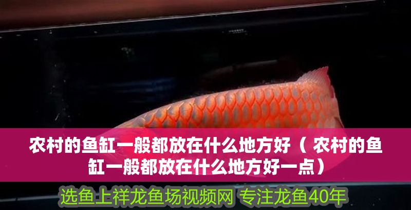 農(nóng)村的魚缸一般都放在什么地方好（ 農(nóng)村的魚缸一般都放在什么地方好一點） 農(nóng)村的魚缸一般都放在什么地方好（ 農(nóng)村的魚缸一般都放在什么地方好一點） 元寶鳳凰魚百科 第1張