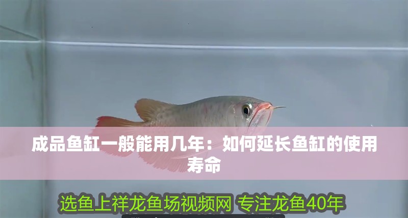 成品魚缸一般能用幾年：如何延長魚缸的使用壽命