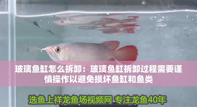 玻璃魚缸怎么拆卸：玻璃魚缸拆卸過程需要謹慎操作以避免損壞魚缸和魚類