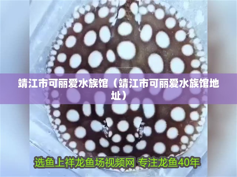 靖江市可麗愛水族館（靖江市可麗愛水族館地址）