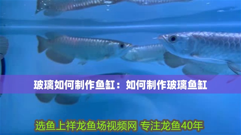玻璃如何制作魚缸：如何制作玻璃魚缸