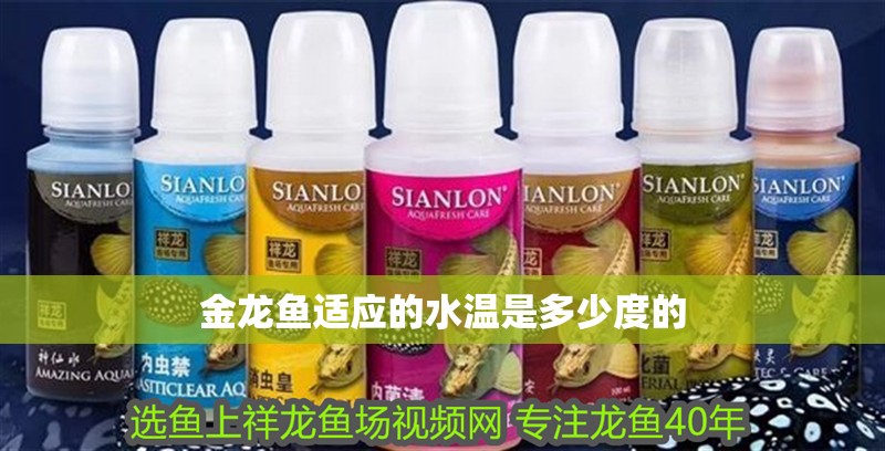 金龍魚適應的水溫是多少度的 金龍魚適應的水溫是多少度的 龍魚百科