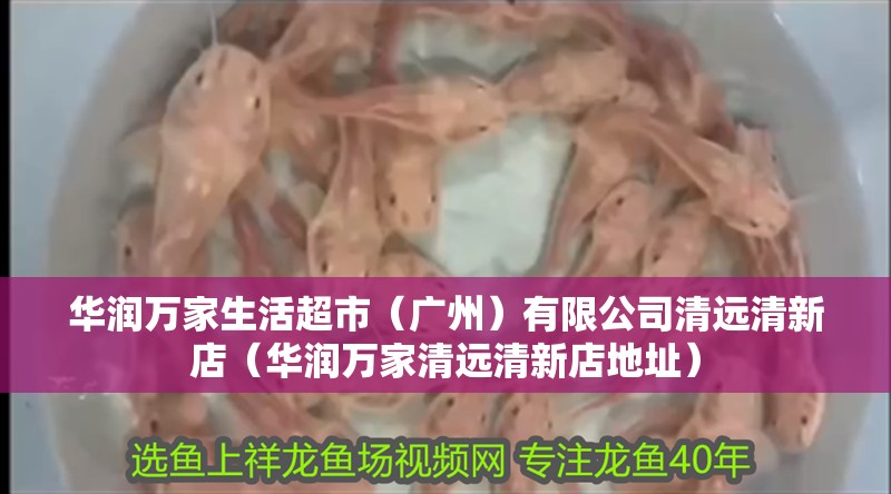 華潤萬家生活超市（廣州）有限公司清遠清新店（華潤萬家清遠清新店地址） 華潤萬家生活超市（廣州）有限公司清遠清新店（華潤萬家清遠清新店地址） 全國水族館企業名錄 第2張